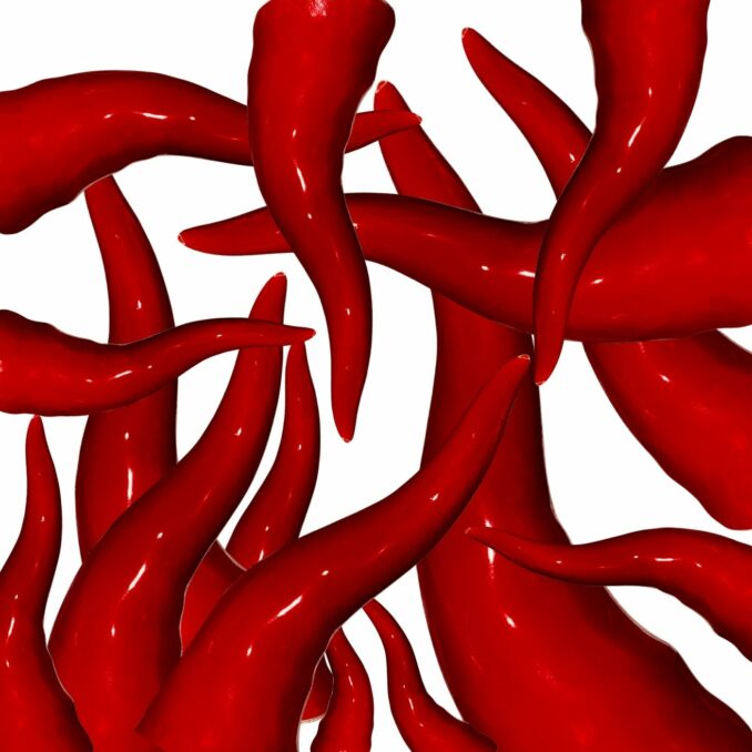Cornicello napoletano rosso grande in ceramica Sartoria luminarie Bologna