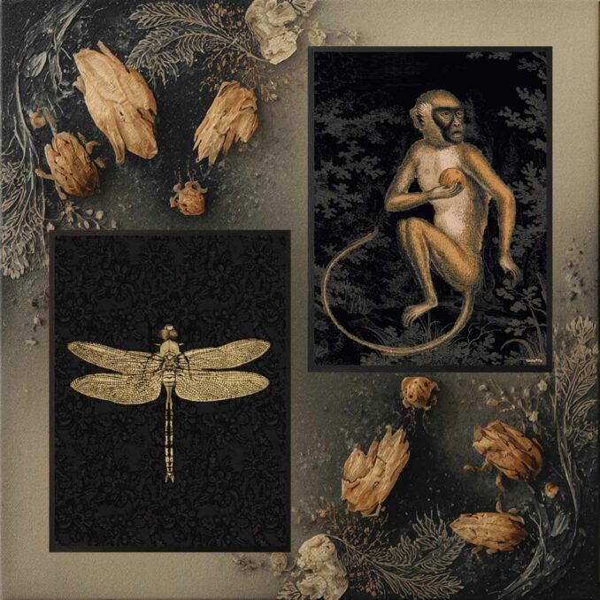 poster con cornice nera DRAGONFLY BLACK sartoria luminarie bologna