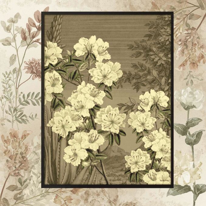 poster con cornice nera Cream rhododendron sartoria luminarie bologna