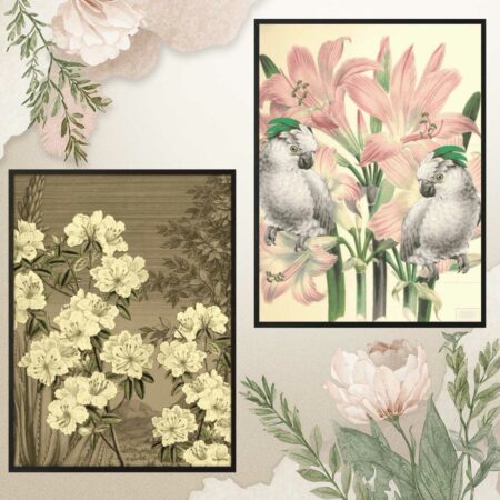 poster con cornice nera Cream rhododendron sartoria luminarie bologna