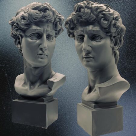 Busto David grigio in resina Sartoria luminarie Bologna