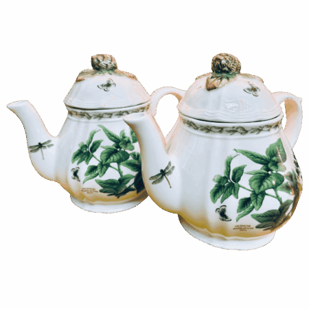 teiera Inglese in porcellana stile Regencydisegni botanici Sartoria luminarie Bologna